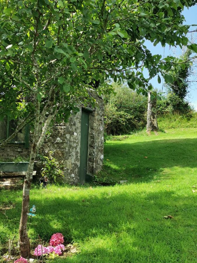 New Listing - Ladybird Cottage - Donegal - Wild Atlantic Way Donegal Town Exterior photo