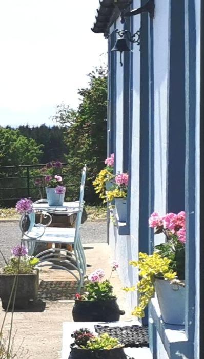 New Listing - Ladybird Cottage - Donegal - Wild Atlantic Way Donegal Town Exterior photo